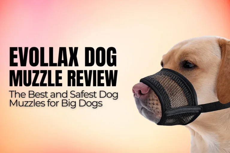Evollax Dog Muzzle Review: The Best and Safest Dog Muzzles for Big Dogs